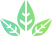 Vi Jully Cosmetic